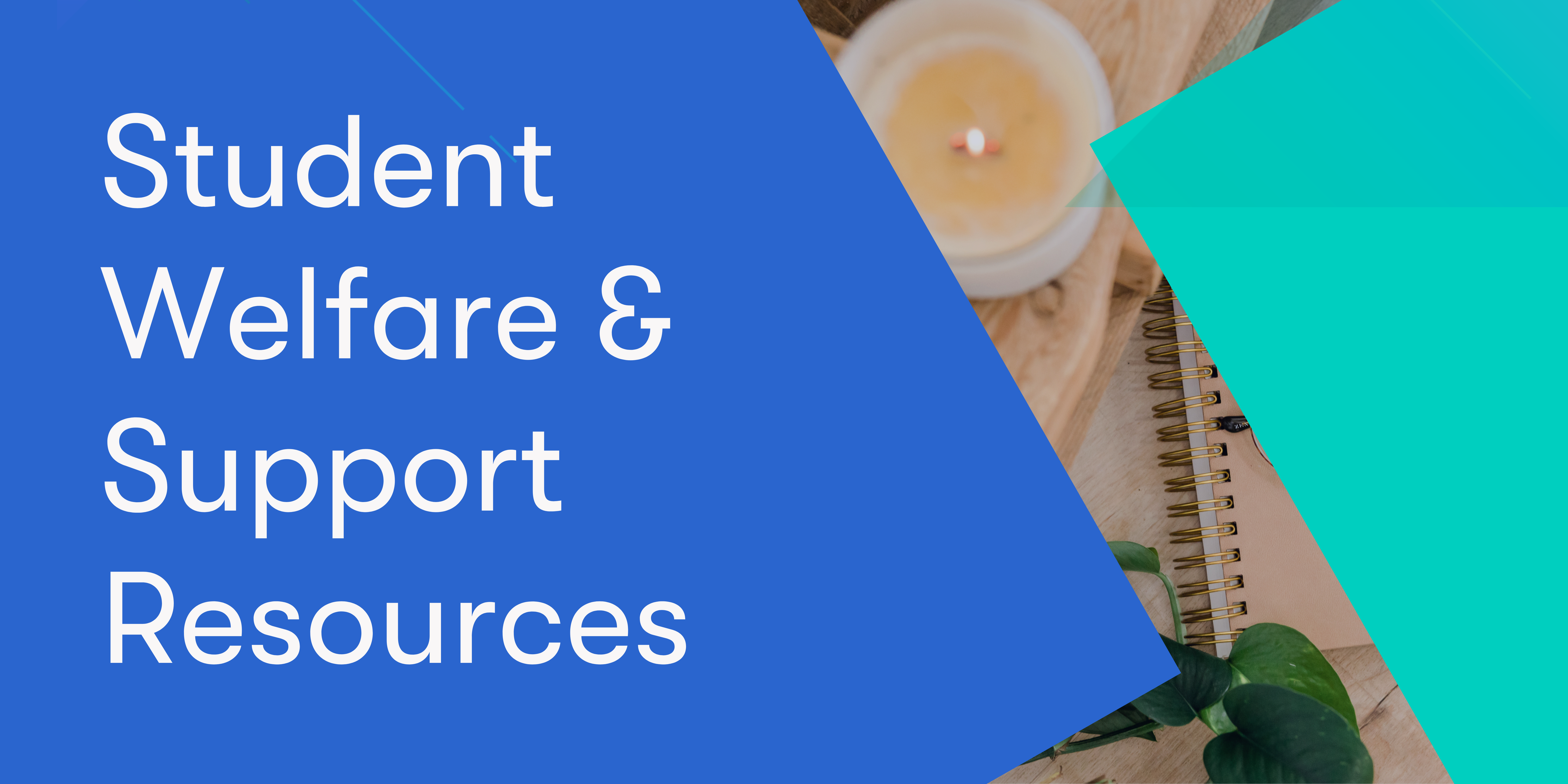 Navigation button to check on Student Welfare and Support resources